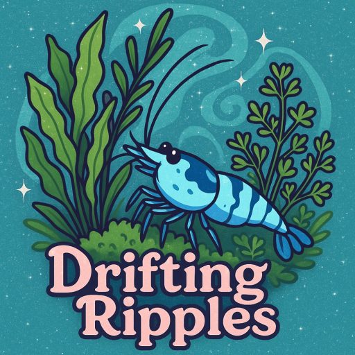 Drifting Ripples